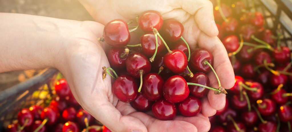 Cerezas y su aporte nutricional a nuestra dieta diaria